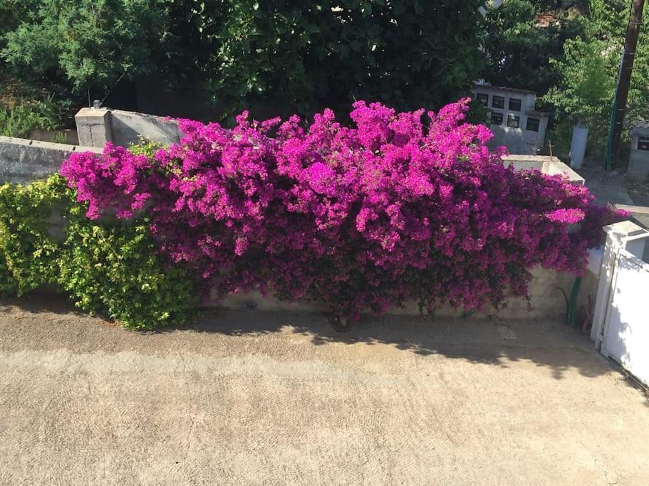 Apartamento Casa Azzura Bastia  Exterior foto